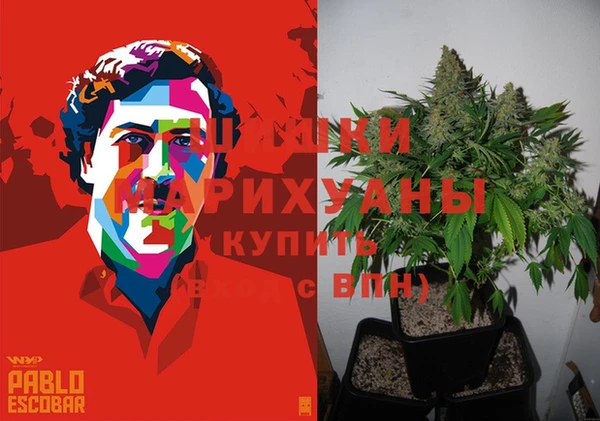 мяу мяу мука Абаза