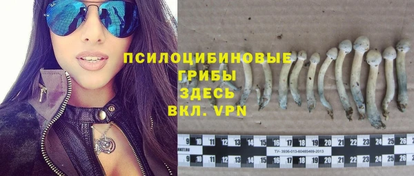 спайс Алексеевка